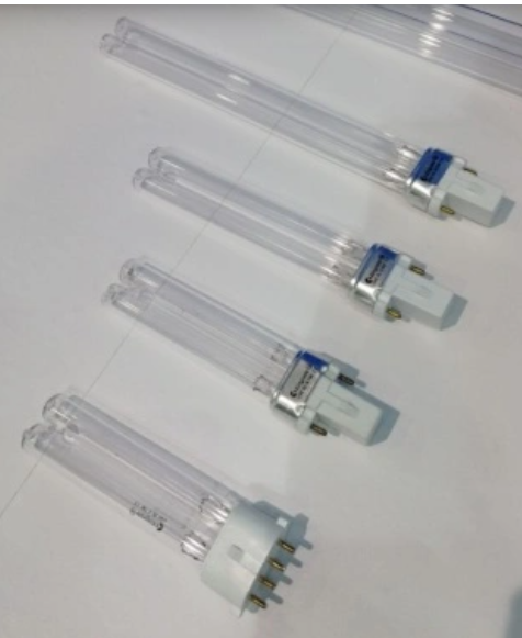 UV curing lamp for credit card